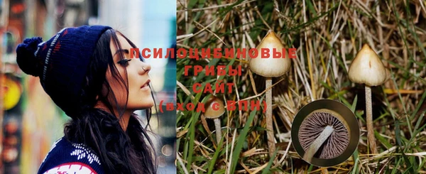 каннабис Абинск