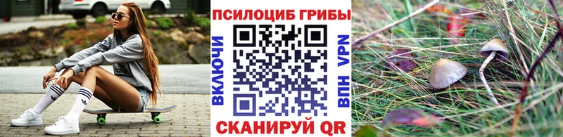 где можно купить   Отрадный  Псилоцибиновые грибы Magic Shrooms 